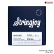 สายกีต้าร์ไฟฟ้า Stringjoy Signatures Series