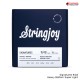 สายกีต้าร์ไฟฟ้า Stringjoy Signatures Series