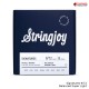 สายกีต้าร์ไฟฟ้า Stringjoy Signatures Series