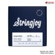 สายกีต้าร์ไฟฟ้า Stringjoy Signatures Series