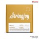 สายกีต้าร์โปร่ง Stringjoy Brights Series