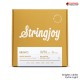 สายกีต้าร์โปร่ง Stringjoy Brights Series