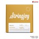 สายกีต้าร์โปร่ง Stringjoy Brights Series