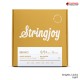 สายกีต้าร์โปร่ง Stringjoy Brights Series