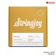สายกีต้าร์โปร่ง Stringjoy Brights Series