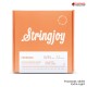 สายกีต้าร์โปร่ง Stringjoy Foxwoods Series