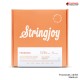 สายกีต้าร์โปร่ง Stringjoy Foxwoods Series