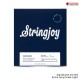 สายเบสไฟฟ้า Stringjoy Signatures Series