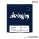 สายเบสไฟฟ้า Stringjoy Signatures Series
